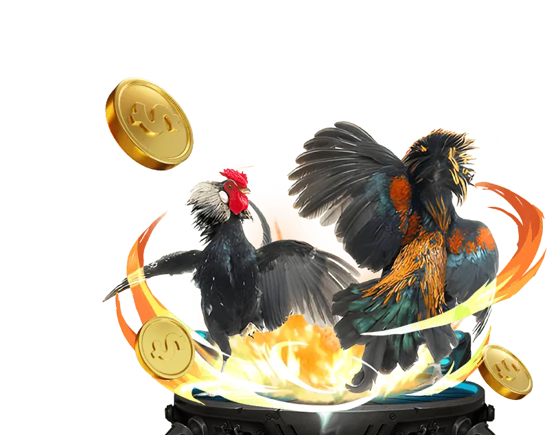 Sòng Bạc Trực Tuyến 555win code